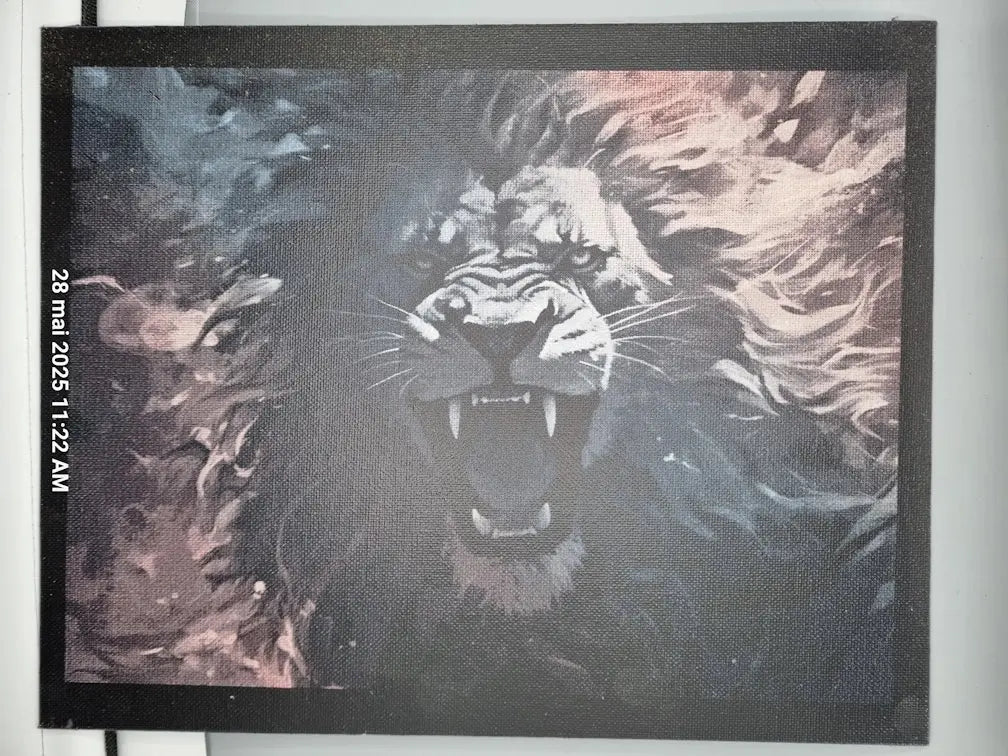 Peinture sur toile - "Lion coloré" Ici On Bricole